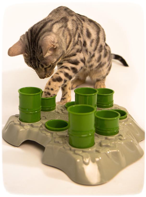 Best Cat Toys For Lazy Cats
