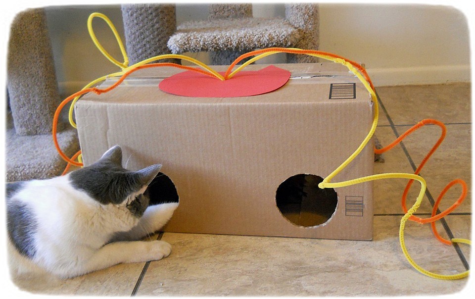 Best Cat Toys For Older Cats
