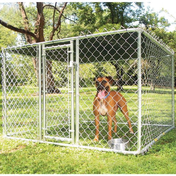 Chain Link Dog Kennel With Roof