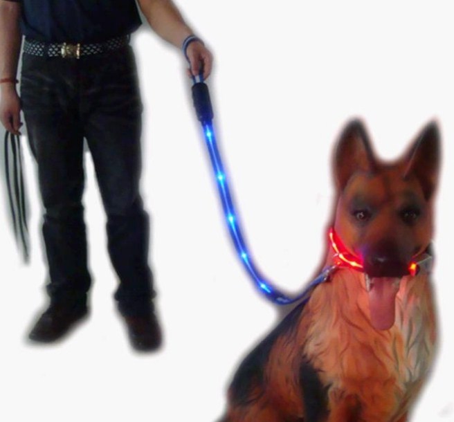 Cool Dog Collars And Leashes