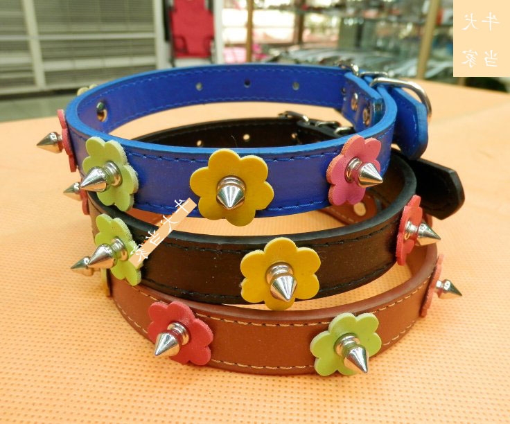 Cool Dog Collars For Small Dogs