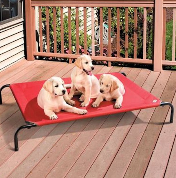 Coolaroo Dog Bed Large
