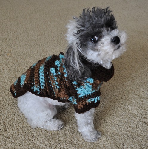 Crochet Dog Sweater Pattern For Large Dogs