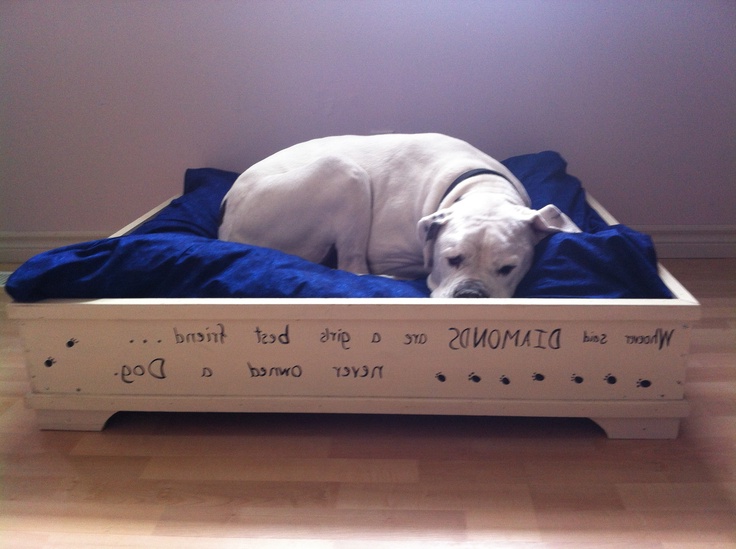 Diy Dog Bed Frame
