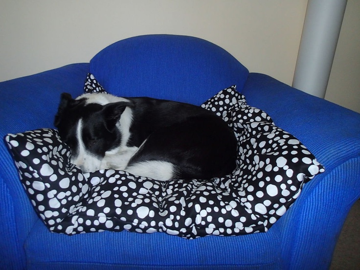 Diy Dog Bed Pillow