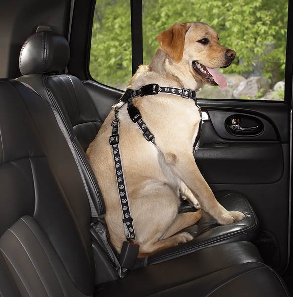 Dog Car Seat Harness