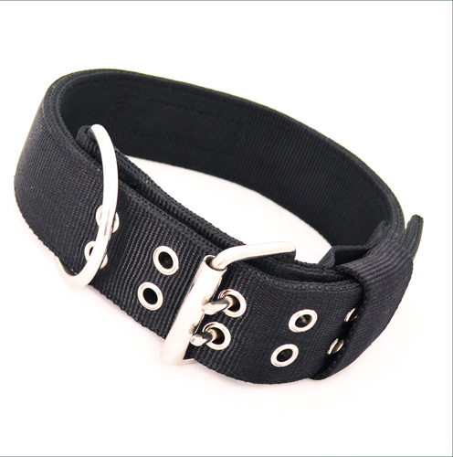 Dog Collars And Leashes For Big Dogs
