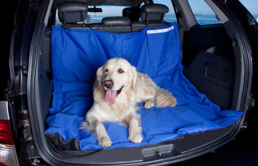 Dog Seat Covers