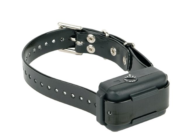 Electronic Dog Collars For Training