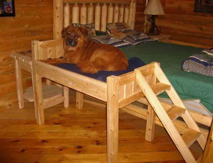 Elevated Dog Bed With Stairs