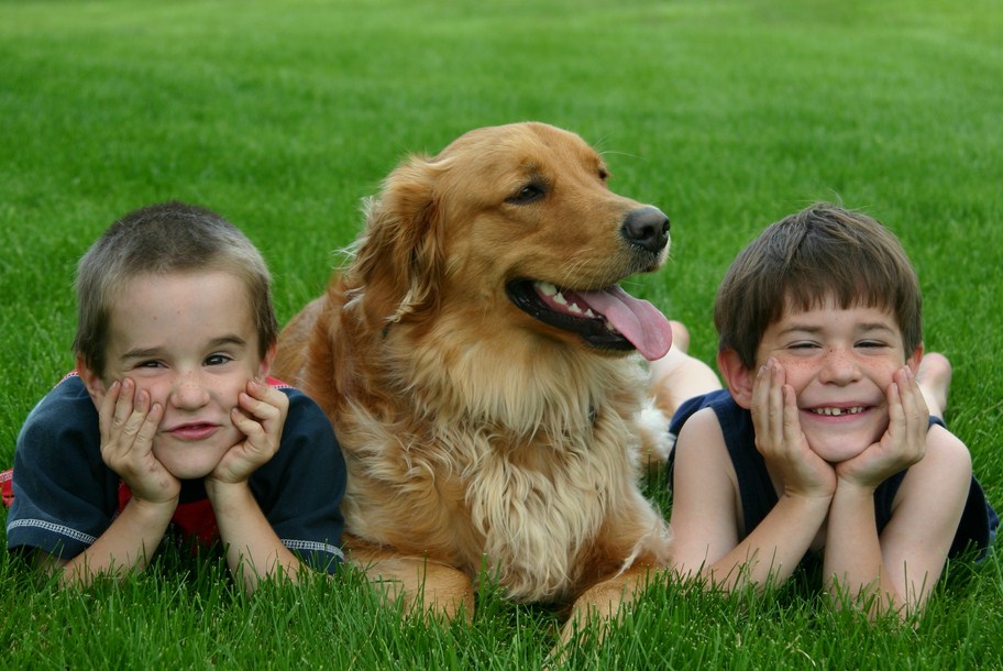 Good Dogs For Kids Small