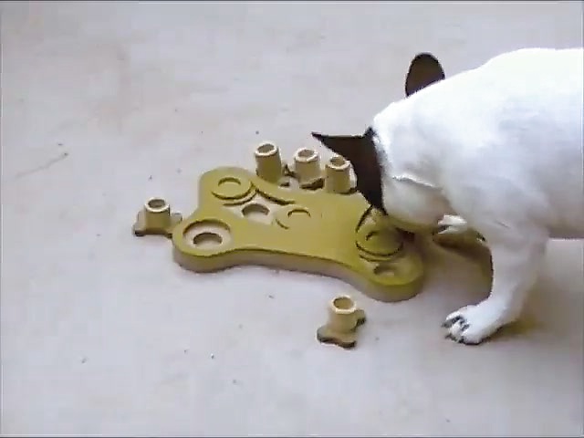 Interactive Dog Toys Petco
