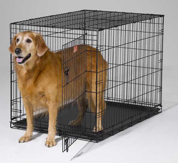 Midwest Dog Crates Canada