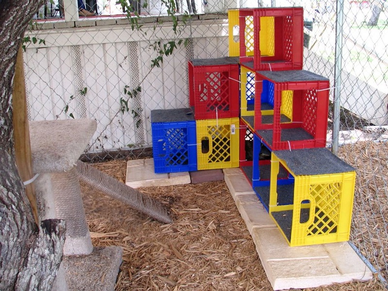 Outdoor Cat House Ideas