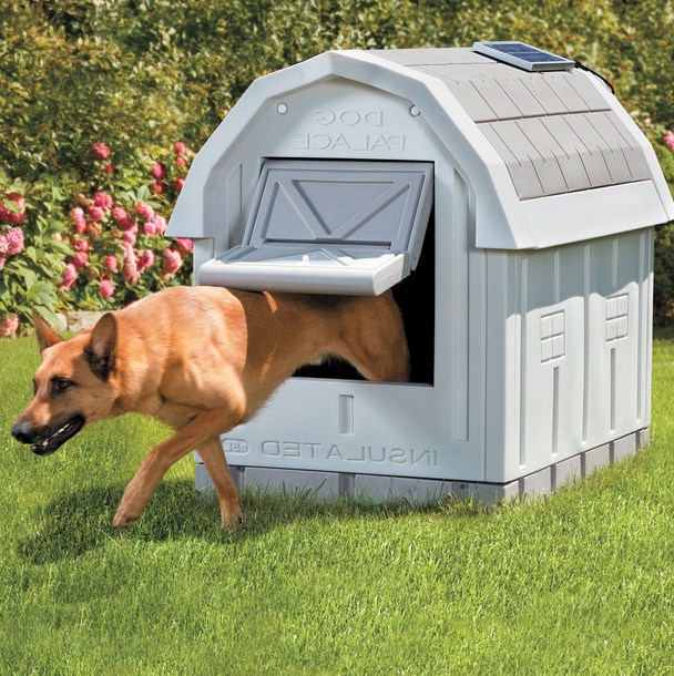Outdoor Heated Dog House