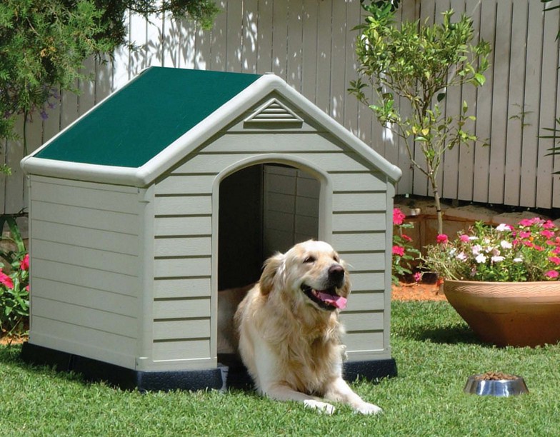 Picture Of A Dog House