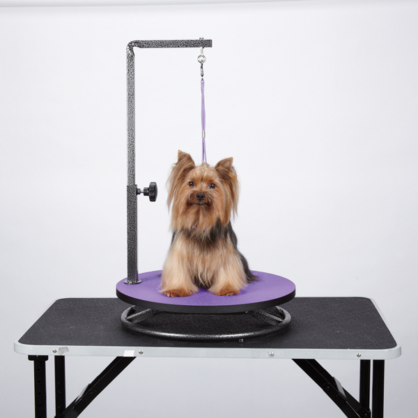 Small Dog Grooming Table