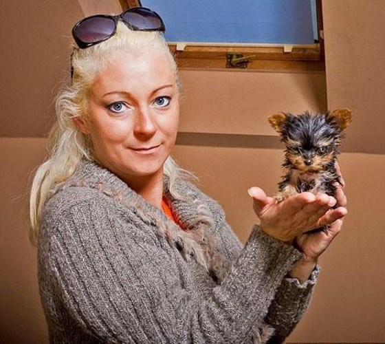 Smallest Dog In The World Guinness 2012