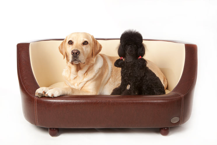 Wood Dog Beds For Large Dogs