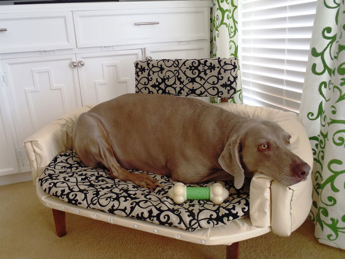 Wooden Dog Beds For Large Dogs