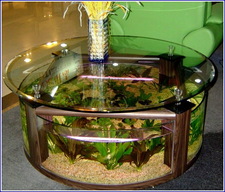 Acrylic Fish Tank Diy