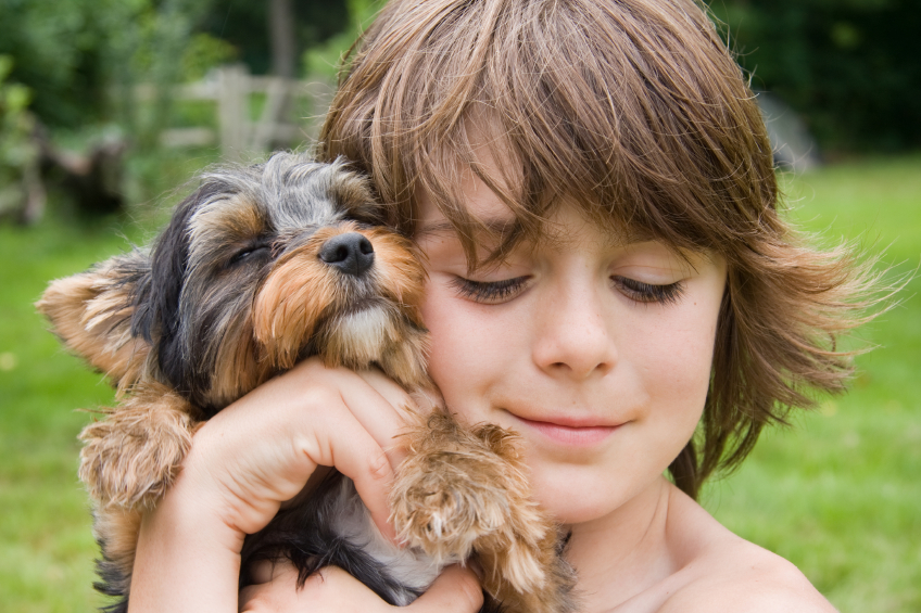 Best Dogs For Families With Young Children