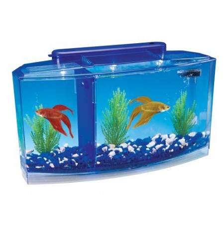 Betta Fish Tanks Amazon