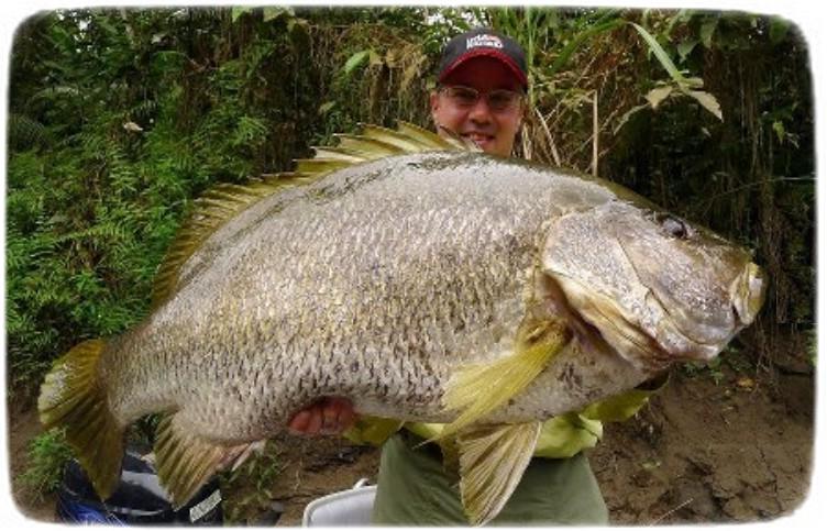 Biggest Fish In The World Ever Caught