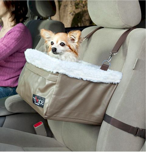 Car Seats For Dogs Australia