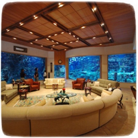 Cool Fish Tanks For Bedrooms