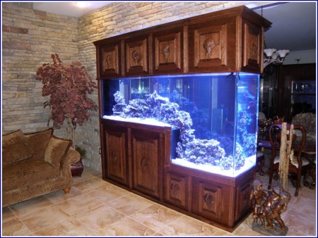 Custom Acrylic Fish Tanks