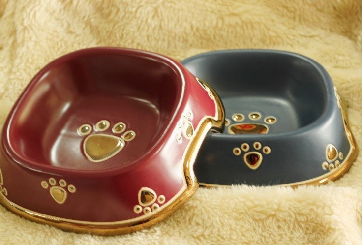 Cute Ceramic Dog Bowls
