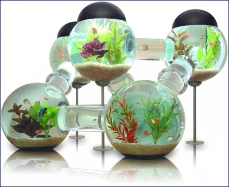 Cute Fish Tank Accessories