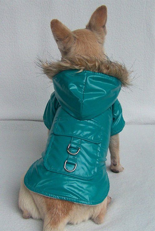 Designer Dog Clothes Burberry