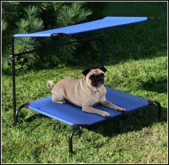 Dog Cooling Beds For Outdoors