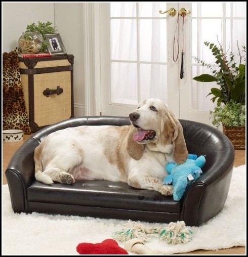 Extra Large Dog Bed Amazon