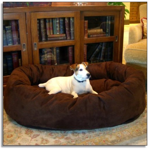 Extra Large Dog Beds Amazon