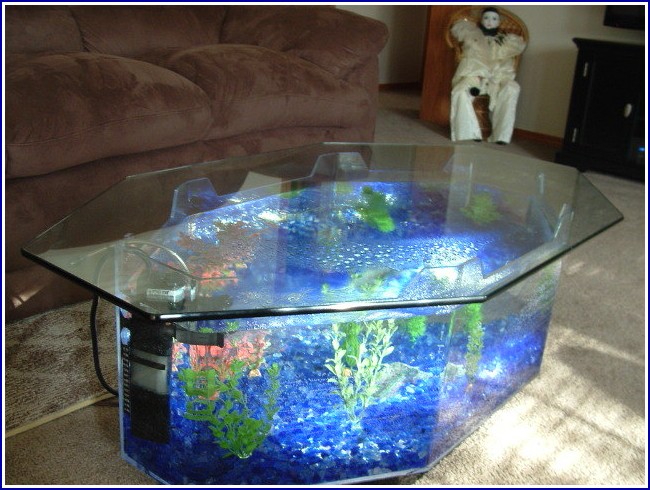 Freshwater Tropical Fish Tank