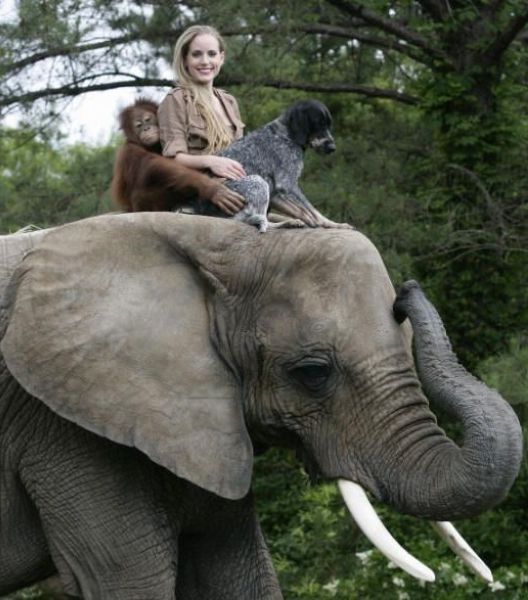 Funny Elephant Pictures With Girls