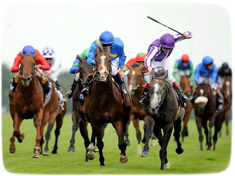Images Of Horses Racing
