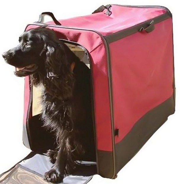 Large Dog Crates For Air Travel