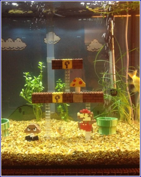 Mario Bros Fish Tank Accessories