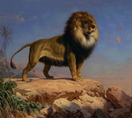 Picture Of A Lion Standing