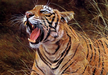 Picture Of A Tiger Roaring