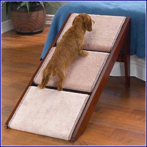 Ramps For Dogs Over Stairs