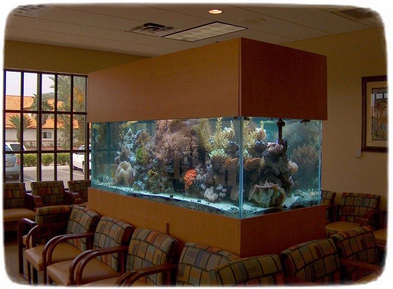 Saltwater Aquarium Fish Tanks