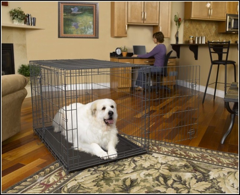 Small Wire Dog Crate