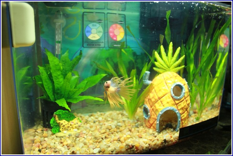 Spongebob Fish Tank Accessories