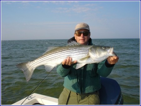 Striped Bass Fishing Virginia