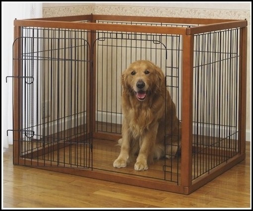 Crates For Dogs With Separation Anxiety